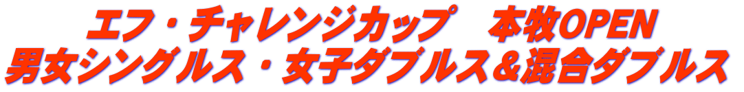 エフ・チャレンジカップ　本牧ＯＰＥＮ 男女シングルス・女子ダブルス＆混合ダブルス 